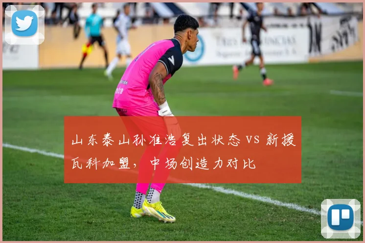 山东泰山孙准浩复出状态 vs 新援瓦科加盟，中场创造力对比